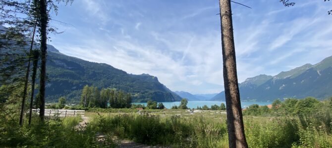 Neu am Brienzersee: Kurse zu Achtsamkeit – Mindfulness Neu am Brienzersee: Kurse zu Achtsamkeit – Mindfulness